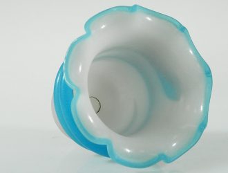 wb6