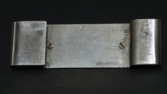 rs10